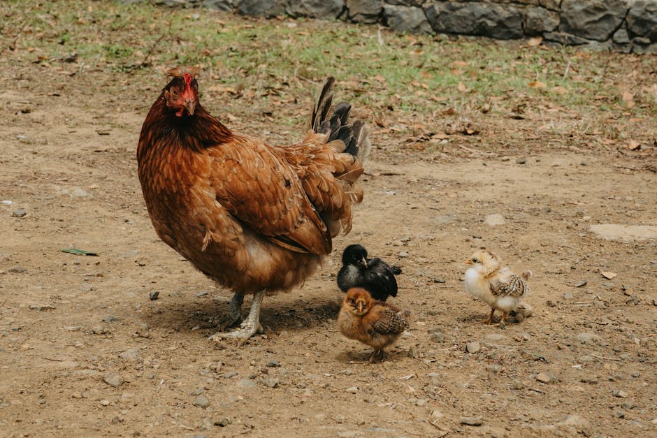 Tips for Finding Local Bird Care Specialists